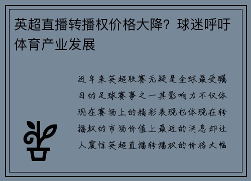 英超直播转播权价格大降？球迷呼吁体育产业发展